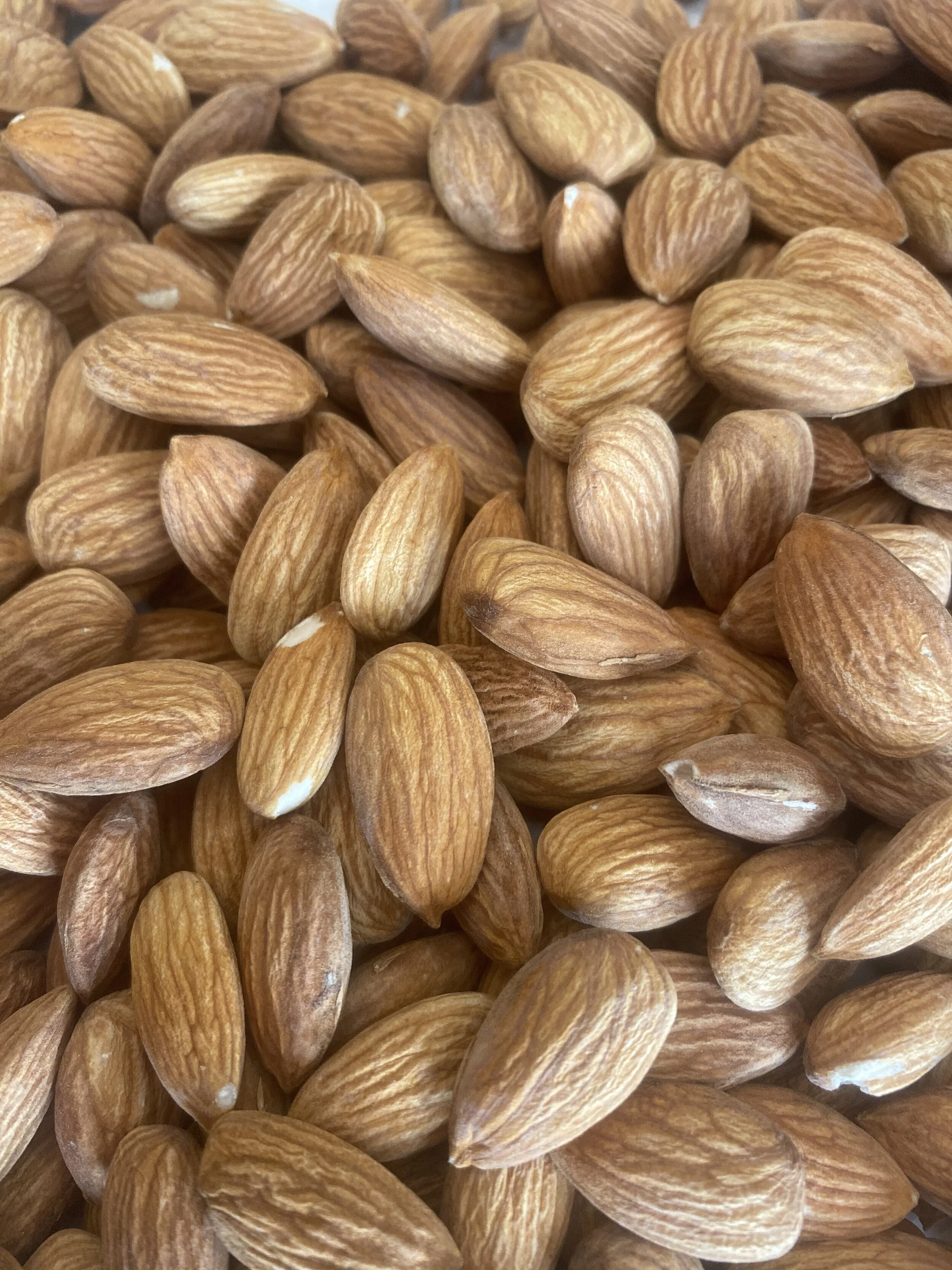 almonds — Shop — Almond Girl